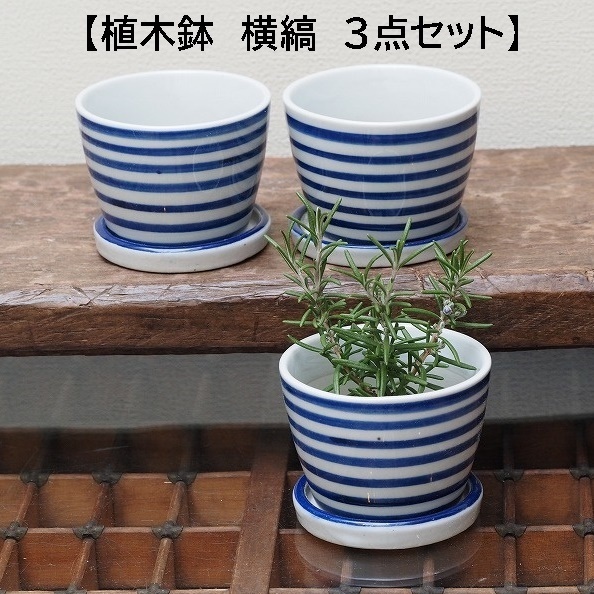 そば猪口型植木鉢　横縞　シマシマ　ボーダー　3個　和モダン 植木鉢　プランター　ミニ盆栽　観葉植物　多肉植物　寄せ植え