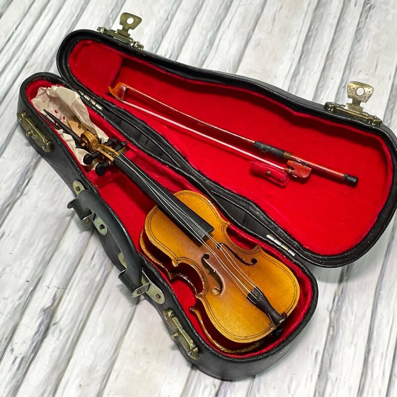 m002 D1(30) ミニチュア バイオリン ハードケース付き ドールハウス 小物 置物