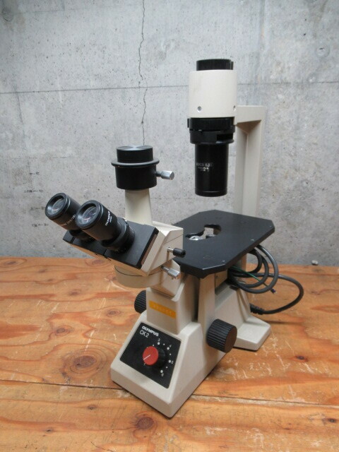 OLYMPUS オリンパス CK2 顕微鏡 対物レンズ(4/10/20/40) 接眼レンズ(10X/18L) 管理6k0501O-F09