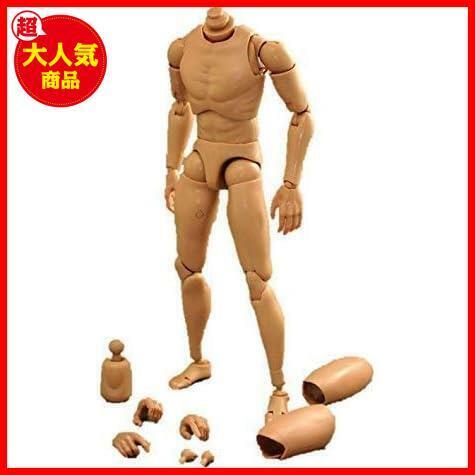 【セール中！特価！】 [Tbmodel] 1/6 フィギュア 男性 素体 素体セット 2種類ヘッドコネクタ