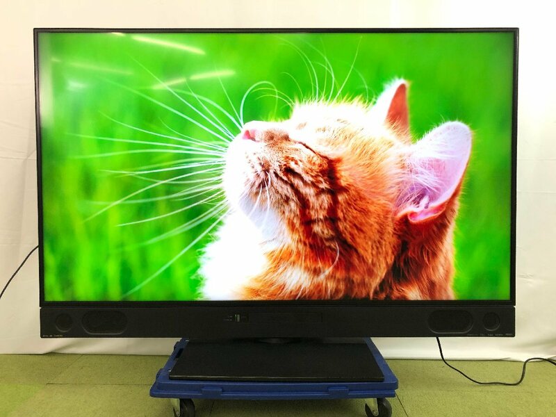 美品 三菱電機 MITSUBISHI REAL 4K液晶テレビ LCD-A58RA1000 58型 内蔵ブルーレイ 内蔵HDD 2TB 外付けHDD 自動録画機能 2019年製 TD05049S