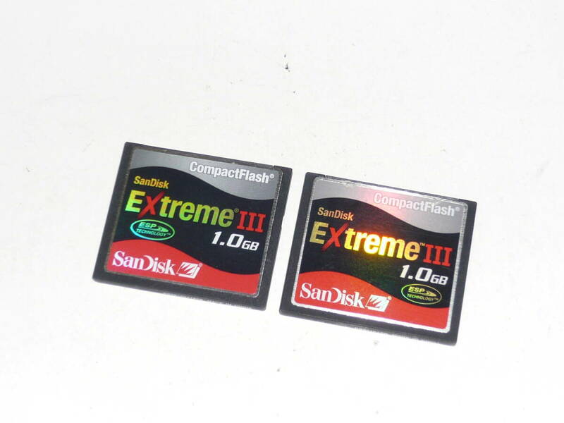 動作保証！SanDisk ExtremeⅢ CFカード 1GB 2枚セット ハードケース付