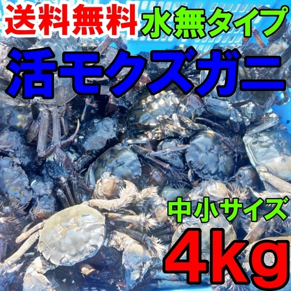 活モクズガニ【海水なしタイプ】 小中サイズ４kg(目安 40-80杯) ツガニ つがに 他に大サイズも出品中 もくずがに