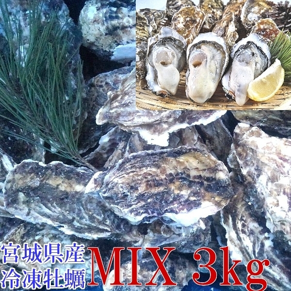 牡蠣 殻付き 牡蠣 送料無料 ３ｋg（目安30粒） ＭＩＸ 冷凍便 牡蠣 殻付き殻付き牡蠣 殻付き 殻付 カキ 加熱用 牡蛎 かき　松島牡蠣屋