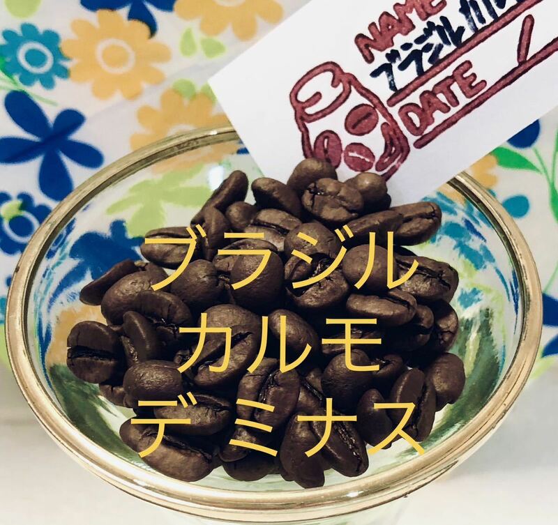 Qグレード コーヒー豆 200g ブラジル カルモ デ ミナス Star Beans YouCoffee