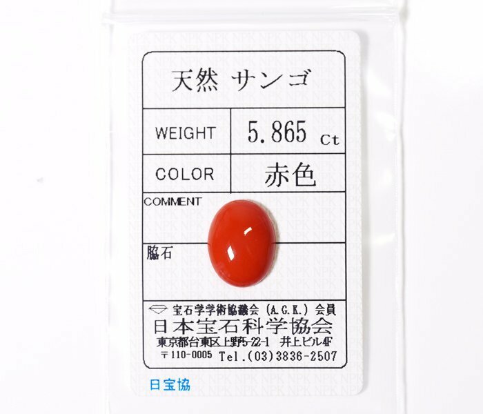 W-50☆ルース 赤色サンゴ 5.865ct 日本宝石科学協会ソーティング付き