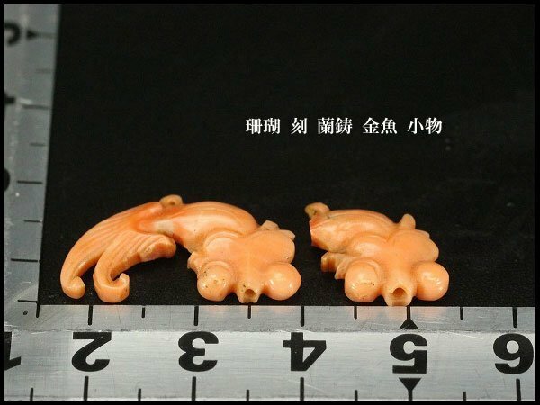 【銀閣】珊瑚 刻 蘭鋳 金魚 小物 旧家蔵出(YB770)