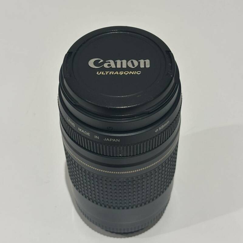 【AMT-10974】Canon キャノン レンズ ULTRASONIC ウルトラソニック EF 75-300mm 1:4-5:6Ⅱ CANON ZOOM LENS ズームレンズ カメラ 撮影機器