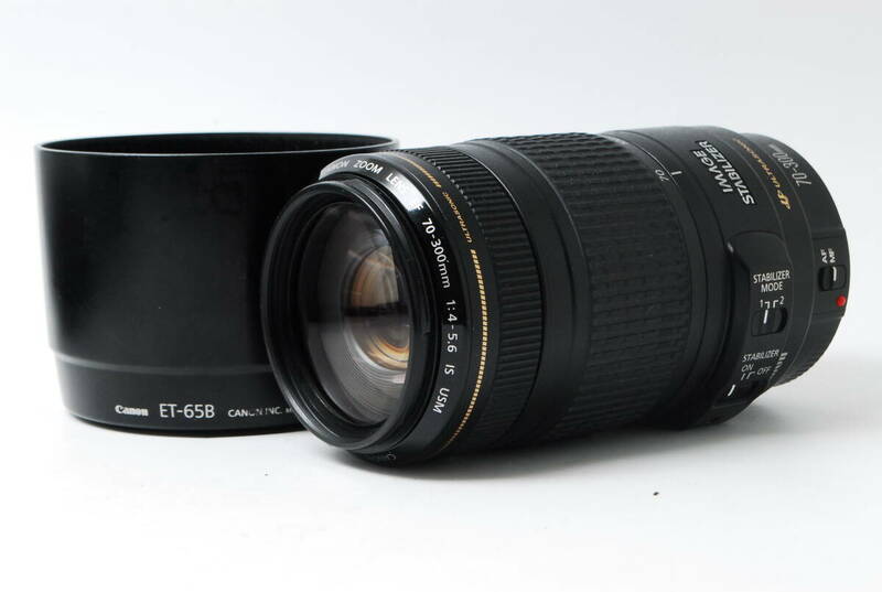 キャノン Canon EF 70-300 F4-5.6 IS USM 現状品 #2280318165