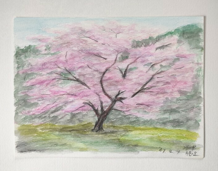 水彩画 風景画 手描き 桜 海津 月見の丘 日本の風景