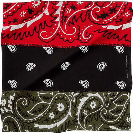 新品 19AW Supreme x dead prez RBG Bandana デッド・プレズ バンダナ