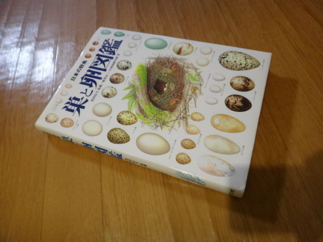 専門書　鳥類図鑑　日本の野鳥　巣と卵図鑑　世界文化社