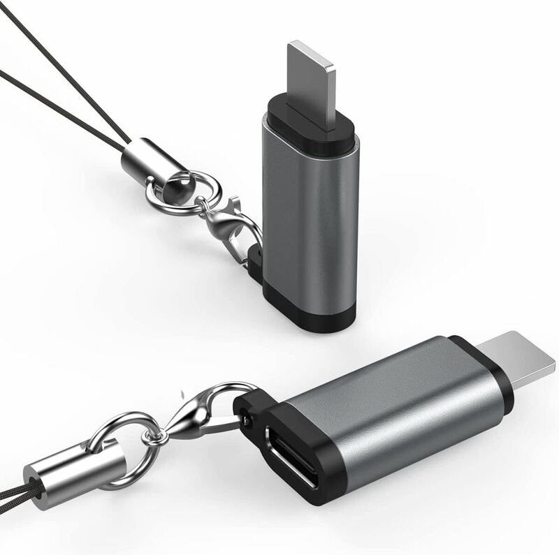 2個セットのi-OS電話公アダプタからUSB C型マザーアダプタ変換器へ、紛失防止キーホルダー付き、充電とデータ転送をサポートする（グレー）