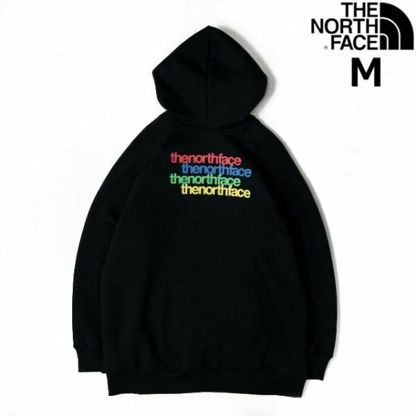 売切り【正規新品】THE NORTH FACE◆W GRAPHIC INJECTION HOODIE パーカー US限定 グラフィック 裏起毛 男女兼用 上質(M)黒 181130-10