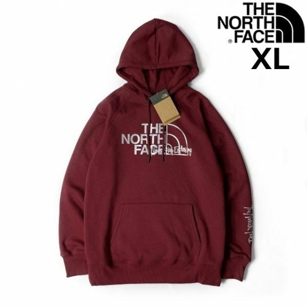 売切り【正規新品】THE NORTH FACE W GRAPHIC INJECTION HOODIE パーカー US限定 メタリックシルバー 裏起毛 男女兼用(XL)赤181130-23