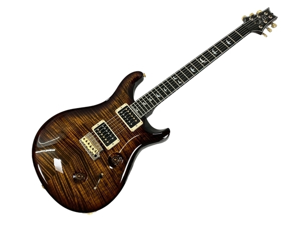【動作保証】Paul Reed Smith/PRS Custom24 Artist Package 30th Anniversary エレキギター 14年製 中古 良好 H8835370