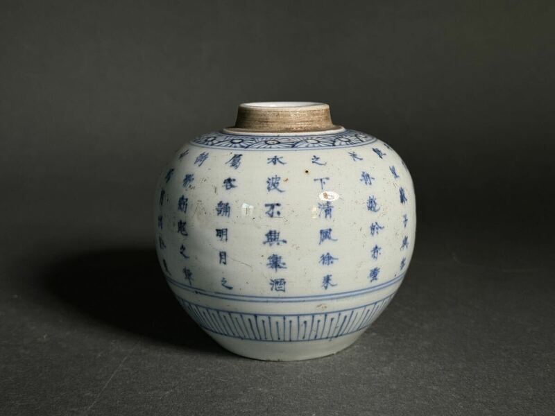 清時代 唐物 染付 茶壺 壺 中国美術 
