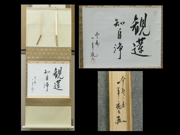 【心庵】掛軸　一草庵主　紙本書幅「観蓮知自浄」／肉筆　共箱　真作　茶道具　TI122