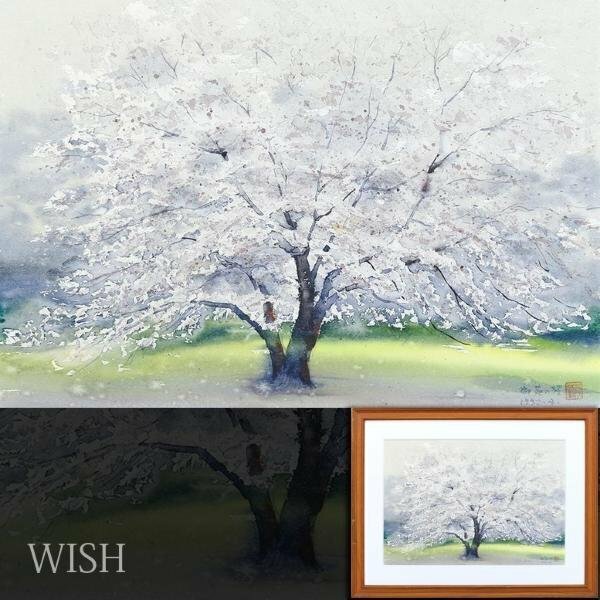 【真作】【WISH】白川弘毅「御苑の桜」水彩 8号大 1992年作 　　〇日洋会員 新洋画大賞 文部大臣賞 #24052422