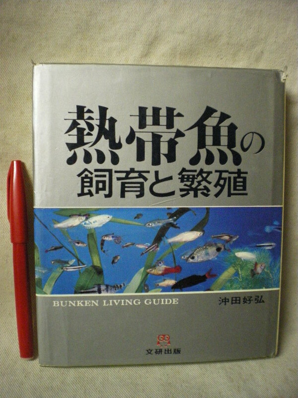 [送料無料]　熱帯魚の飼育と繁殖　沖田好弘　文研出版　1983 