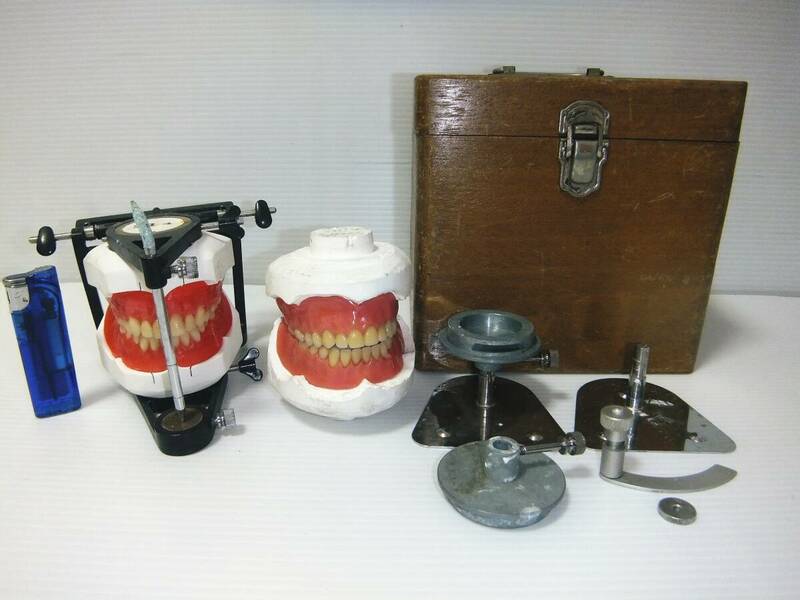 歯科技工用器具 歯列模型 歯科材料 模型 歯型 入れ歯 パーツ 歯科技工 箱付