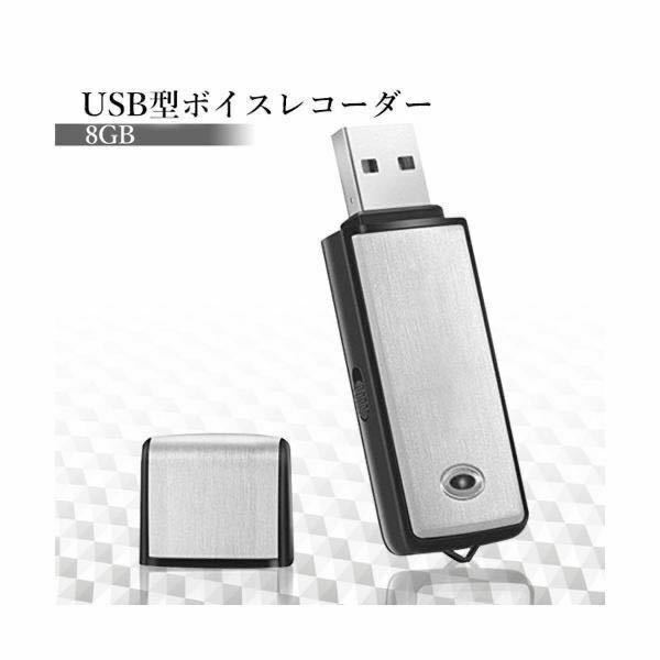 USB型 ボイスレコーダー 8GB ICレコーダー 小型 AF369