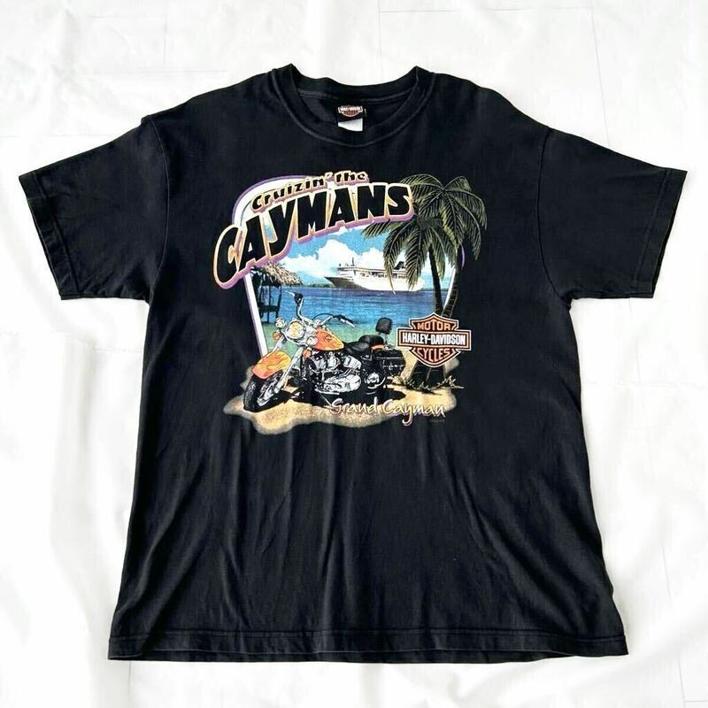 00s HARLEY DAVIDSON USA製 Tシャツ 黒 両面プリント HANES Lビッグサイズ ビンテージ （ ハーレーT バイカー オフィシャルタグ 90s スカル