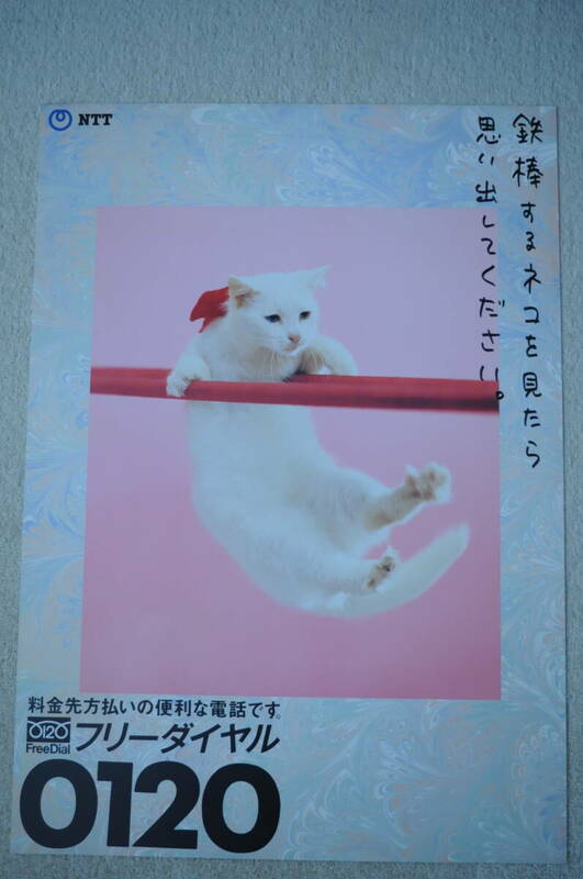 【B2】NTT 鉄棒するネコをみたら思い出してください。