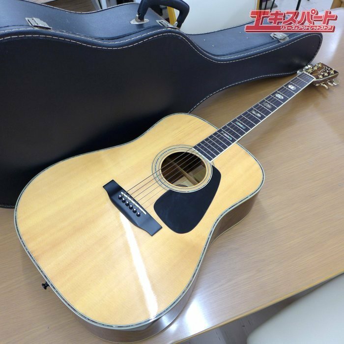 Morris モーリス TF-801 アコースティックギター ハードケース付 公田店