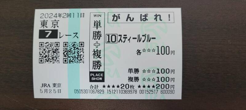 スティールブルー １勝クラス 現地的中単勝+複勝がんばれ馬券 東京競馬場