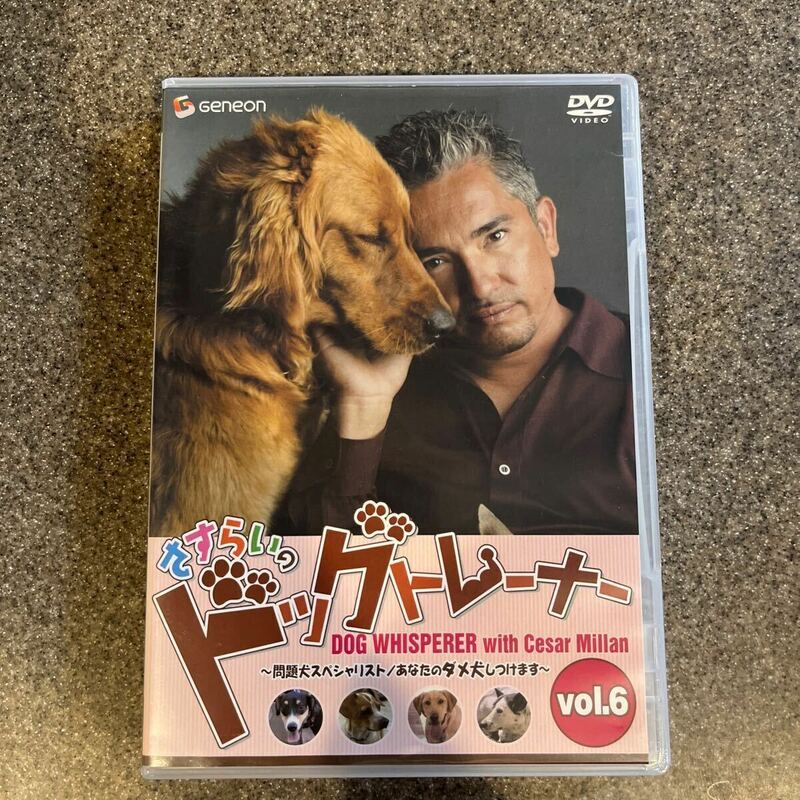 【シーザー・ミラン DVD】さすらいのドッグトレーナー vol.6 【中古美品】