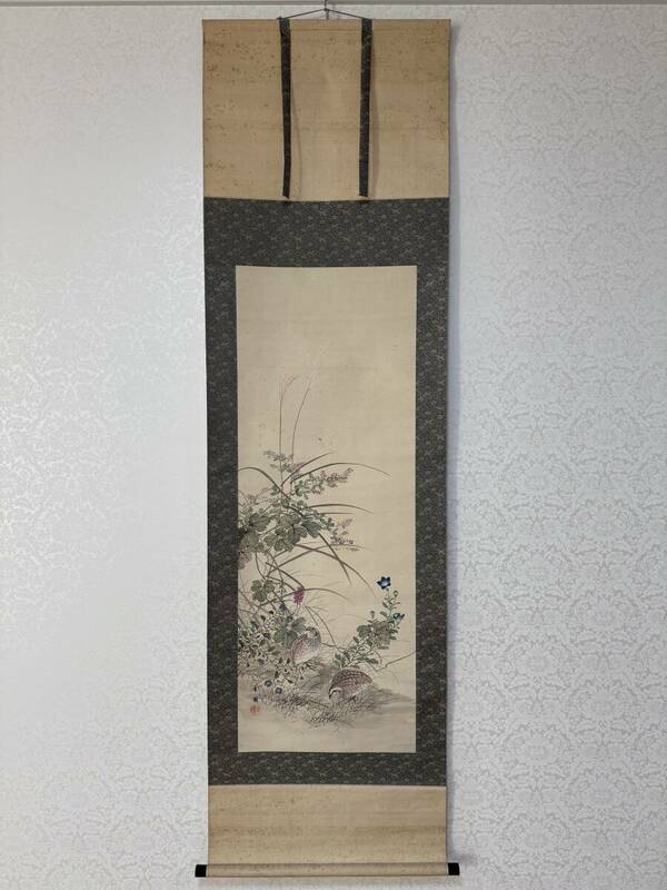 動物 掛軸 可愛い 鶉 ウズラ 落款 在印 有鄰 113x41.5cm 骨董 日本