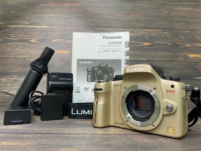 Panasonic パナソニック LUMIX GH1 ボディ ミラーレス一眼カメラ #18