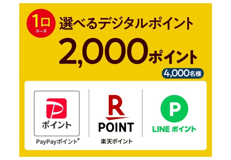 レシート懸賞★デジタルポイント2000ポイントが4000名様様に当たる！コカ・コーラキャンペーン！応募レシート１口