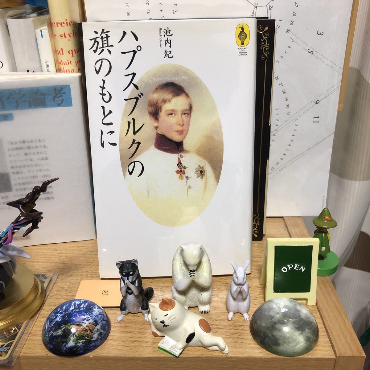 ハプスブルク家の旗のもとに 池内紀
