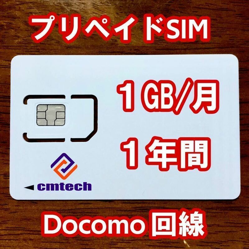 Docomo回線 プリペイドsim 1GB/月1年間有効 データ通信simカード11