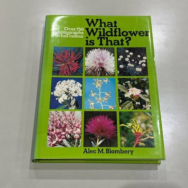 洋書 古書 What Wildflower is That? それはどんな野花 Alec M.Blombery アレックMブロンベリー 植物 図鑑 /レターパックプラス520円
