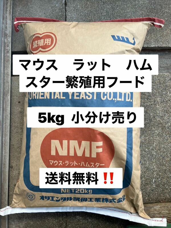 オリエンタル酵母　NMF 5キロ　マウス、ラット、ハムスター繁殖用飼料　餌　　