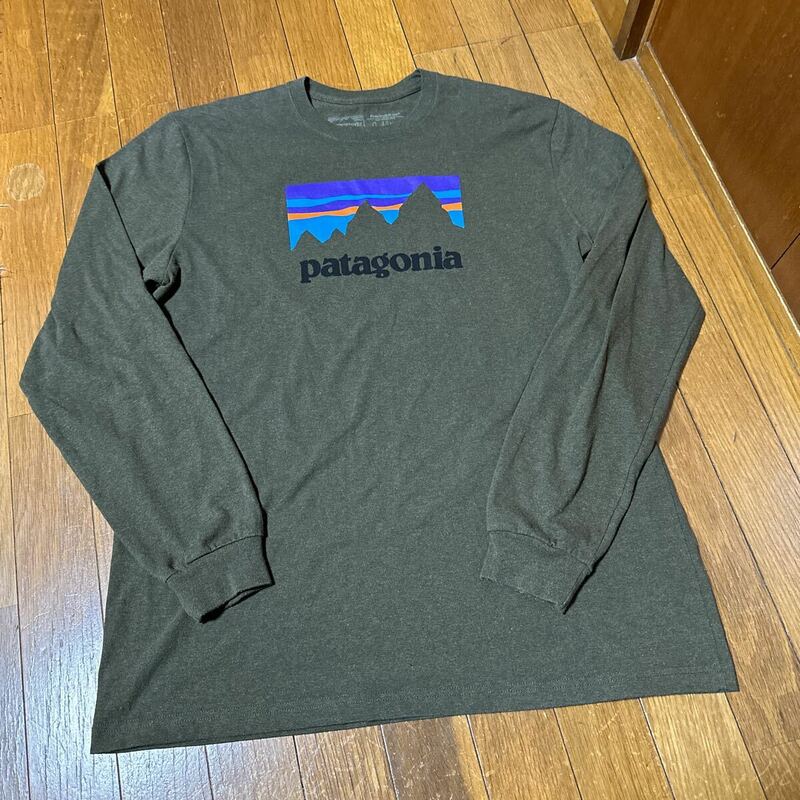 美品パタゴニアpatagonia貴重限定Mサイズ長袖TシャツロンTプリント旧タグロゴ雪なしgooutロングスリーカットソーRN51884古着