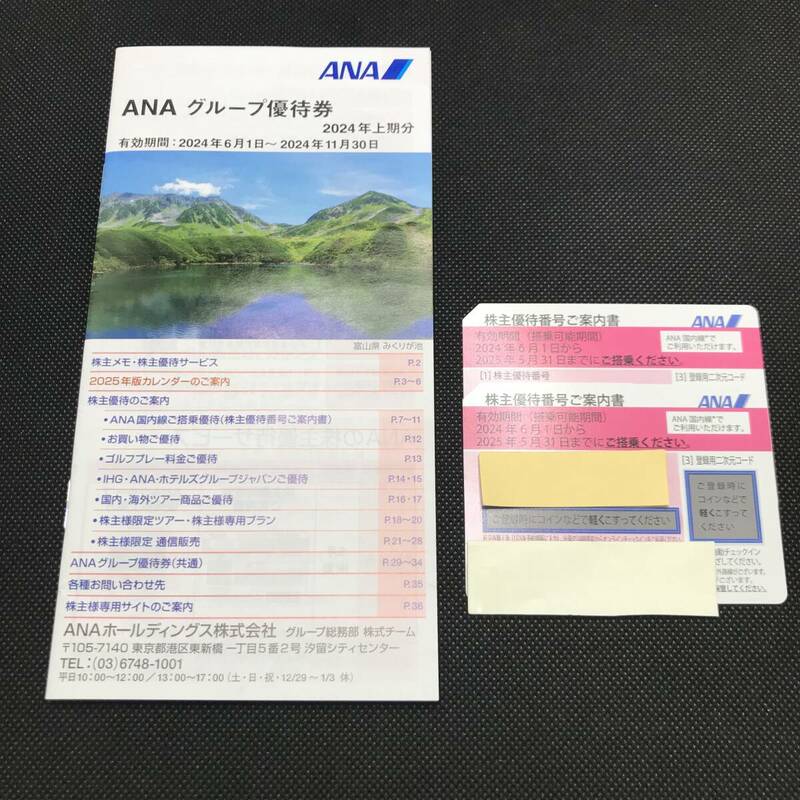 (SH3104)※ANA ANAグループ 株主優待券 有効期限2025年5月31日迄 2枚セット おまとめ セット売り 旅行 パンフレット付き