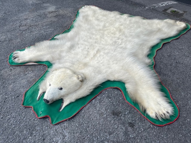 白熊 剥製 絨毯 ラグマット 毛皮 はく製 シロクマ 皮 敷物 縦約231㎝ 横約192㎝ 現状品 U646