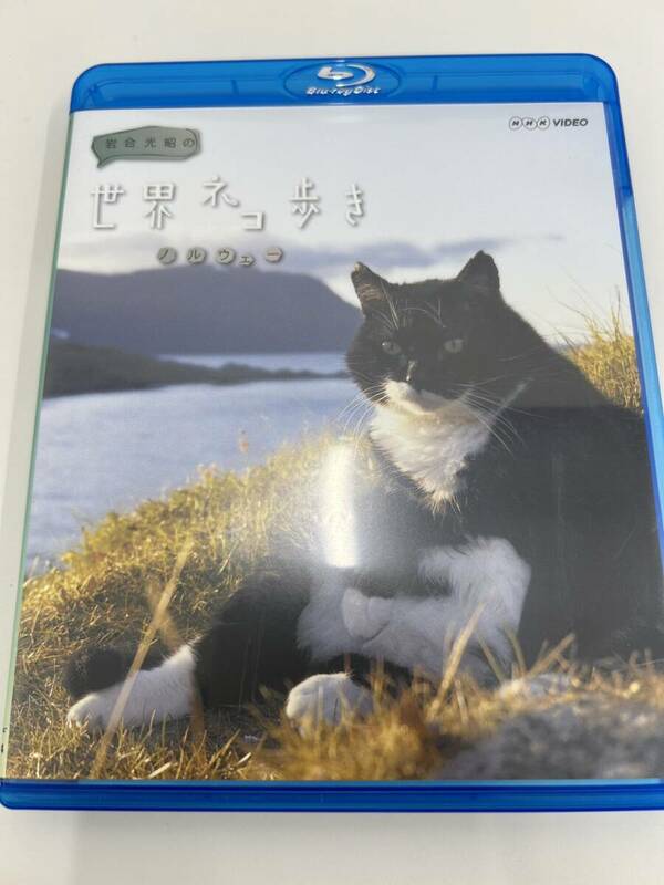 岩合光昭の世界のネコ歩き 猫 ブルーレイ 動物 ノルウェー 猫 