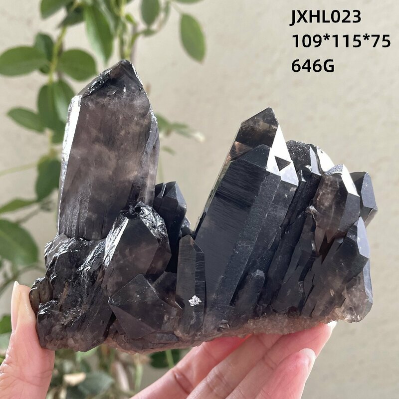 【限定品】AAAAAAAA級【魔除け】◆天然モリオン(黒水晶）クラスター0531-YS-HL023-129D