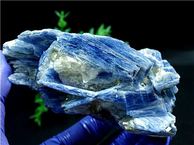 AAA級天然藍晶石（カイヤナイト）鉱標178U3-60U151b