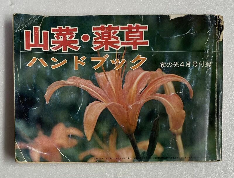 山菜・薬草ハンドブック 家の光 昭和52年4月号付録 ニリンソウ フキ アケビ モミジガサ イタドリ クコ ウバユリヨモギ ハコベ スベリヒユ