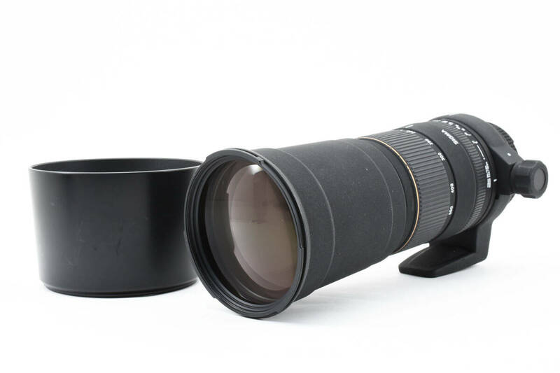 SIGMA シグマ APO 170-500mm F5-6.3 DG Nikon ニコン Fマウント用