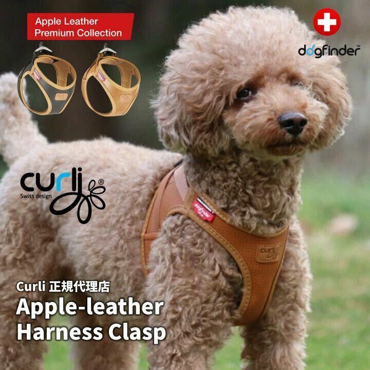 スイスデザイン【Curli】 カーリープレミアムコレクション　アップルレザーハーネス・クラスプ【CLASP/Apple Leather HARNESS】Sサイズ