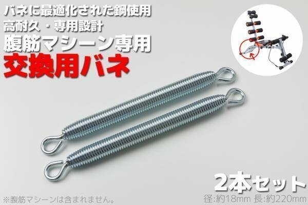 【全国一律送料無料】腹筋マシーン 2本セット 交換用スプリング 筋トレ トレーニング エクササイズ用品