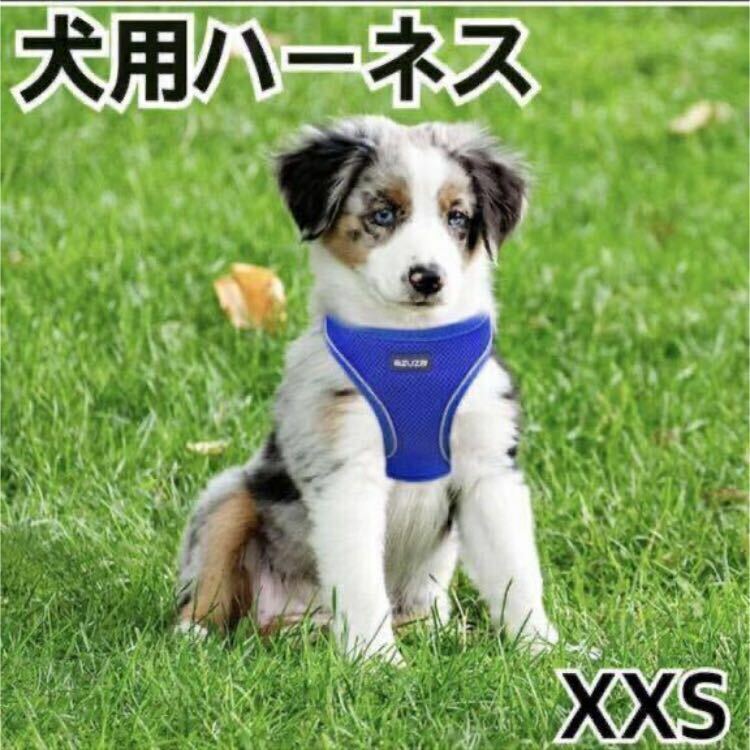 【未使用・開封済】azuza 犬用ハーネス　XXSサイズ　メッシュ　ブルー　胴輪　小型犬用