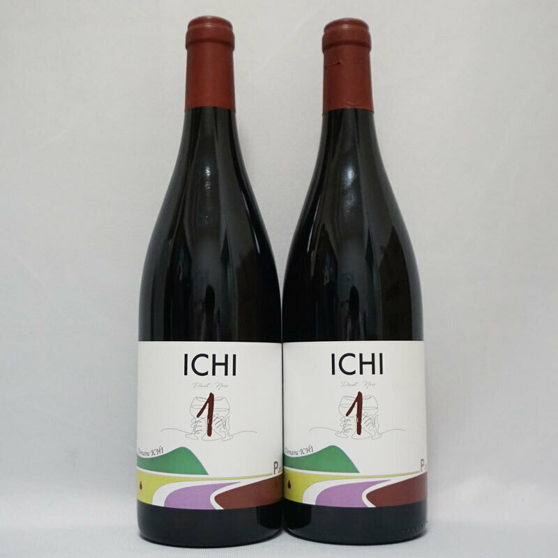 【未開栓】ドメーヌ・イチ Domaine ICHI ピノノワール Pinot Noir 2022 2本セット 赤ワイン 果実酒 750ml 12% 送料無料！